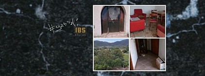 IBS studio